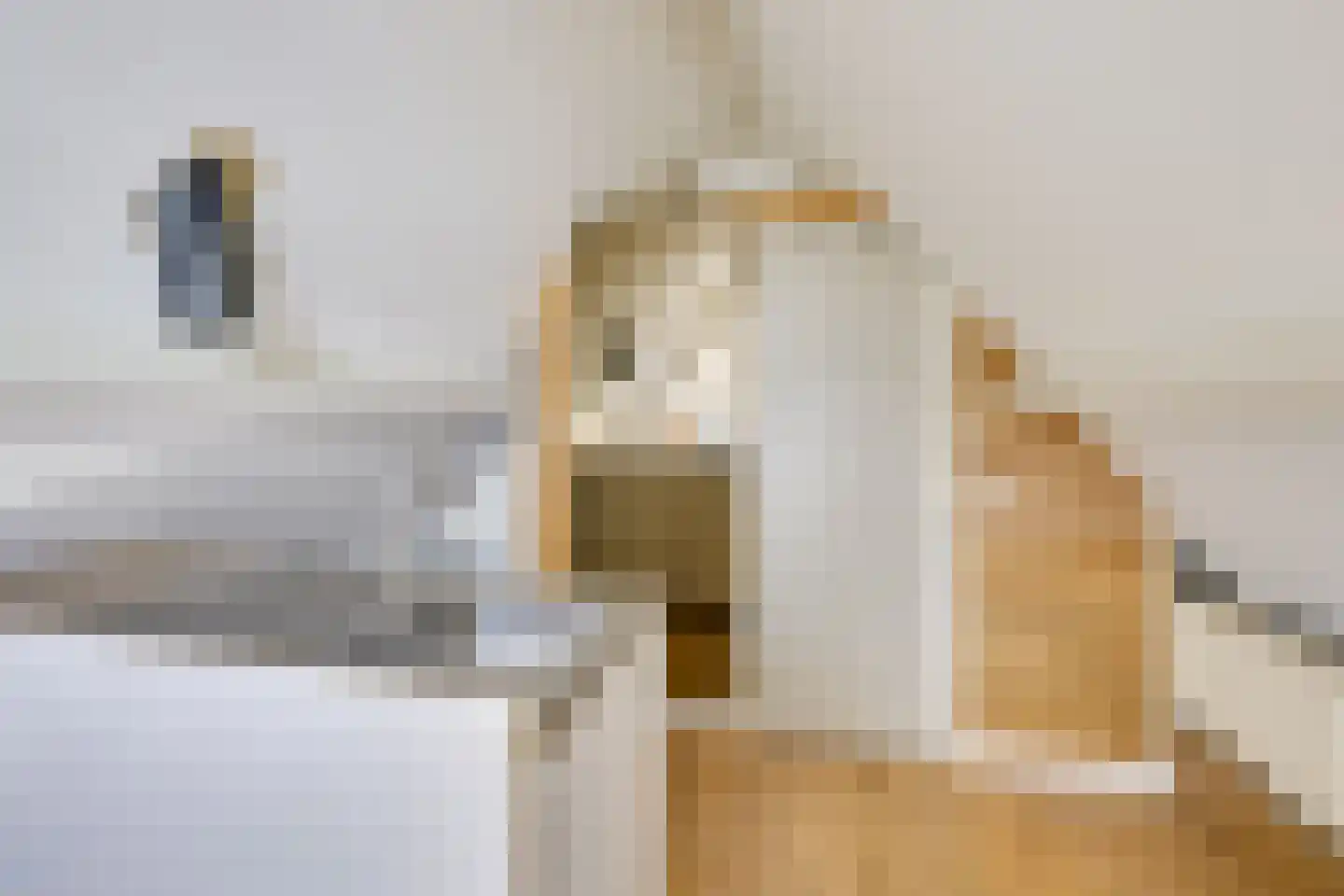Prins Bernhardweg 22 Houten thumbnail 35