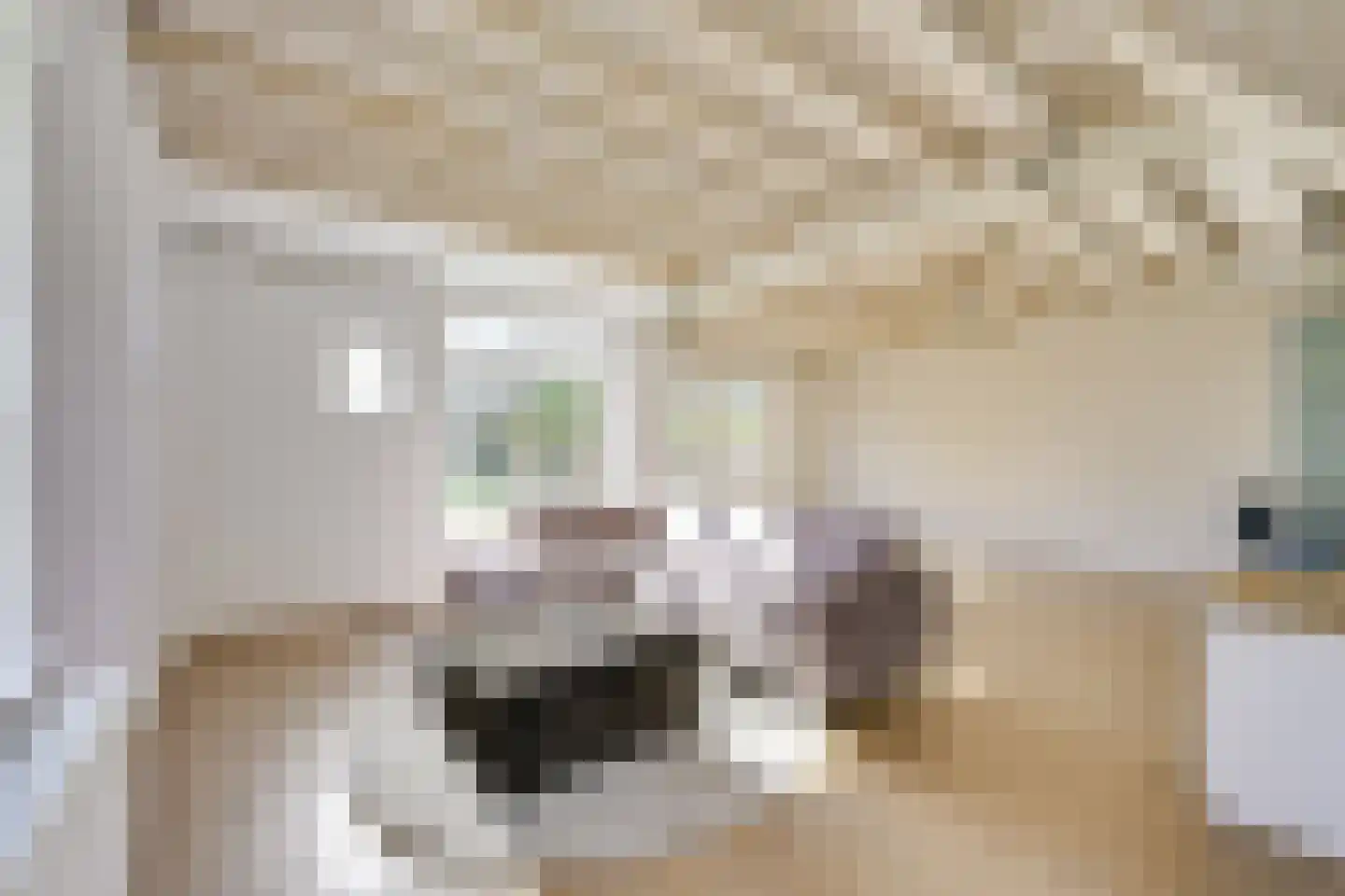 Prins Bernhardweg 22 Houten thumbnail 6