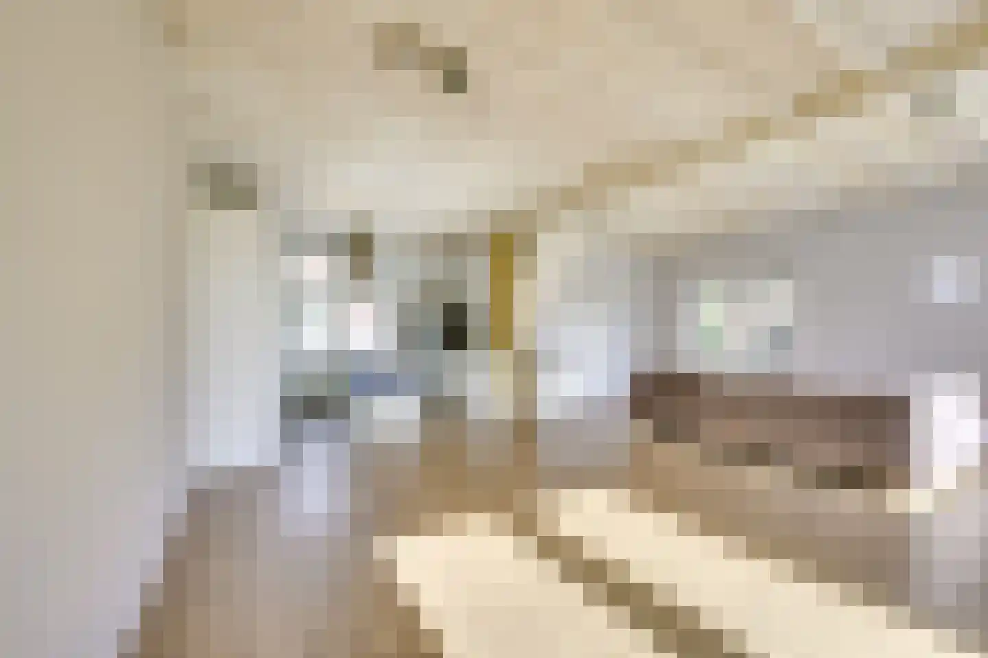 Prins Bernhardweg 22 Houten thumbnail 8