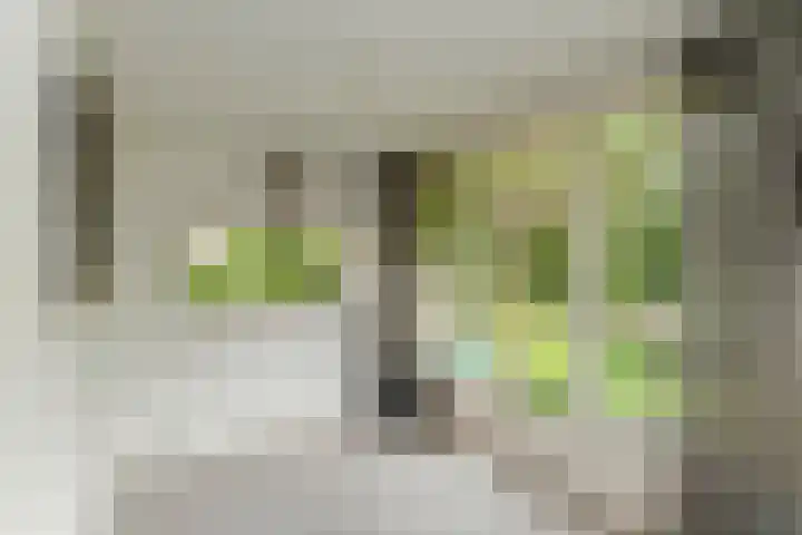 Prins Bernhardweg 24 Oosterbeek thumbnail 13