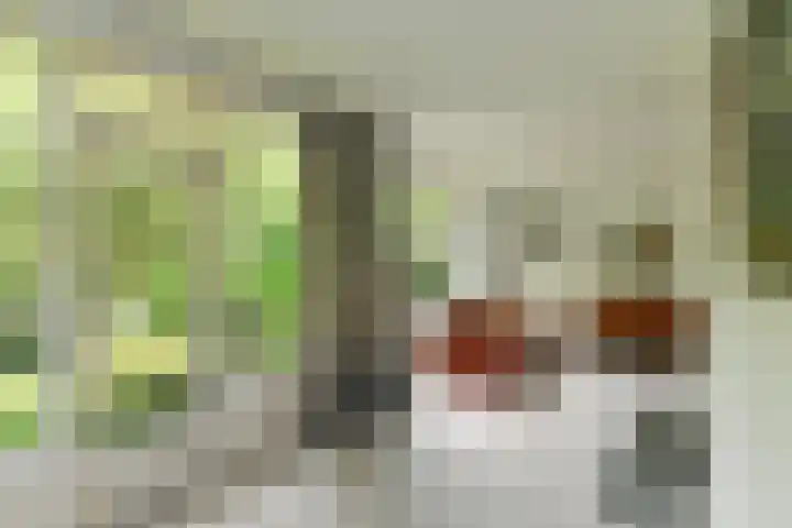 Prins Bernhardweg 24 Oosterbeek thumbnail 14