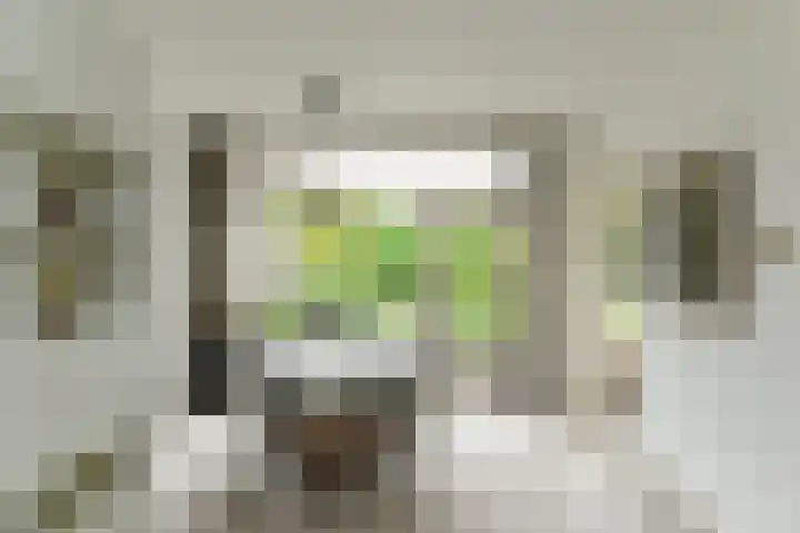 Prins Bernhardweg 24 Oosterbeek thumbnail 17