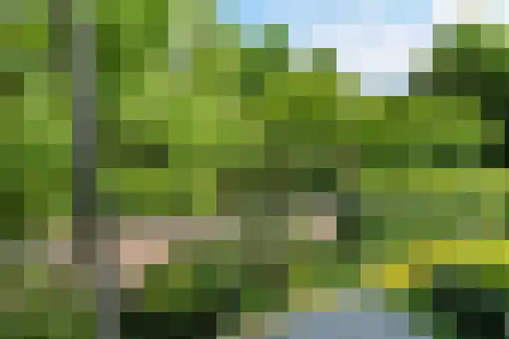 Prins Bernhardweg 24 Oosterbeek thumbnail 33