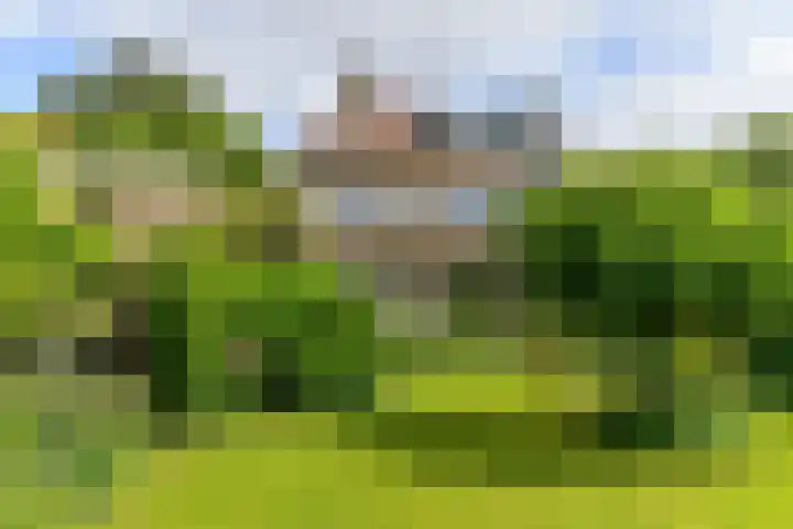 Prins Bernhardweg 24 Oosterbeek thumbnail 39