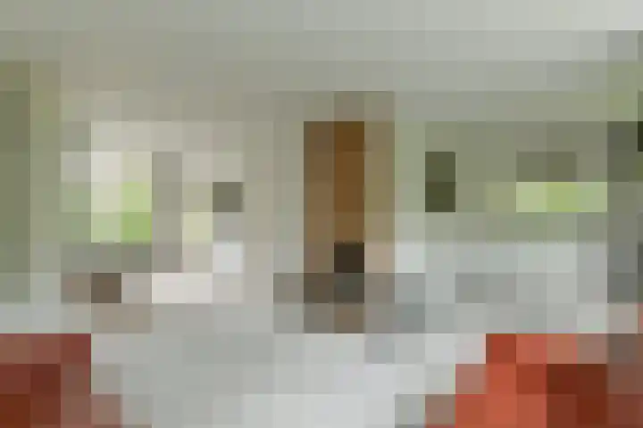 Prins Bernhardweg 24 Oosterbeek thumbnail 4