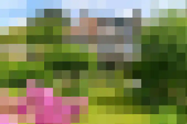 Prins Bernhardweg 24 Oosterbeek thumbnail 41