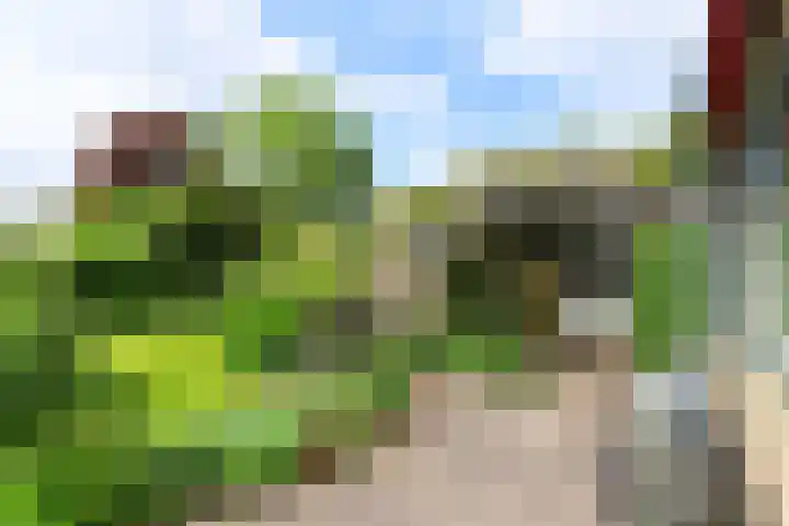 Prins Bernhardweg 24 Oosterbeek thumbnail 42