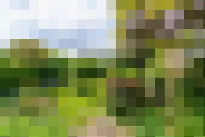 Prins Bernhardweg 24 Oosterbeek thumbnail 43