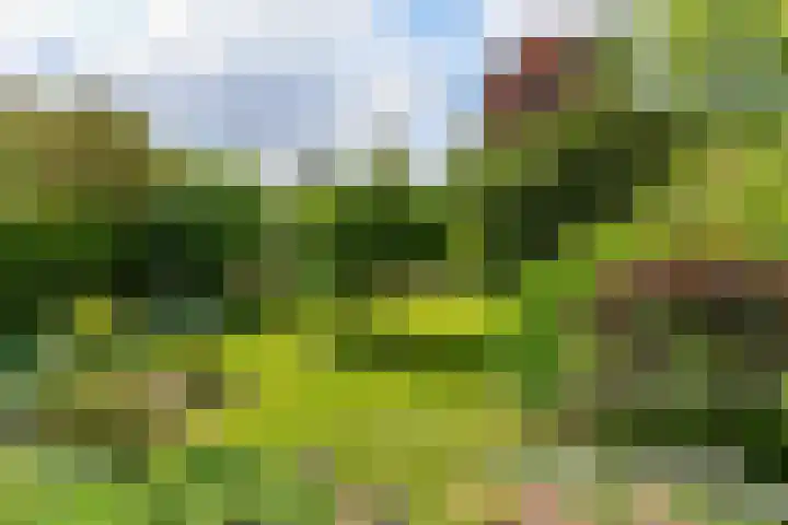 Prins Bernhardweg 24 Oosterbeek thumbnail 44