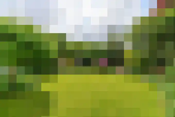 Prins Bernhardweg 24 Oosterbeek thumbnail 45