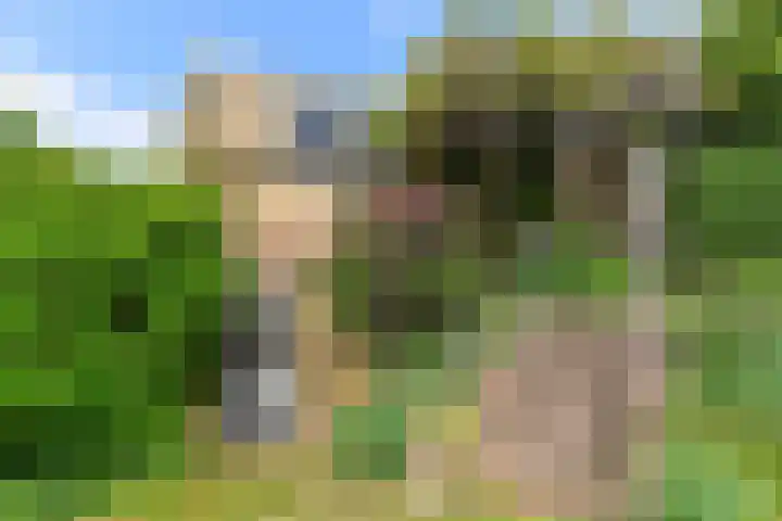 Prins Bernhardweg 24 Oosterbeek thumbnail 46