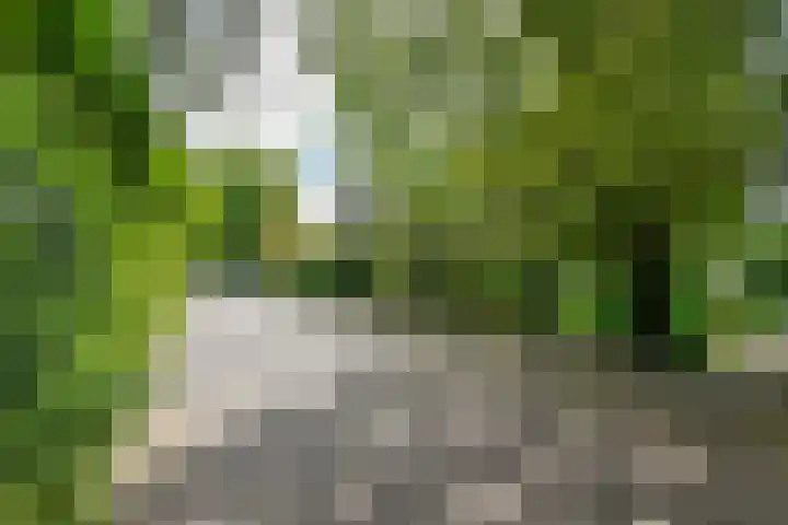 Prins Bernhardweg 24 Oosterbeek thumbnail 48