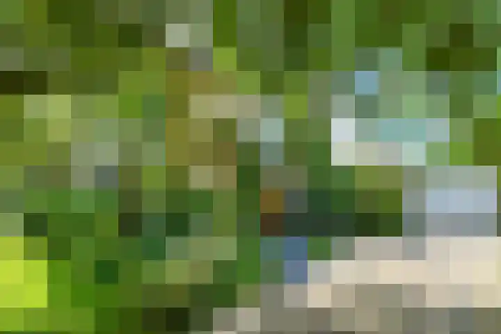 Prins Bernhardweg 24 Oosterbeek thumbnail 6