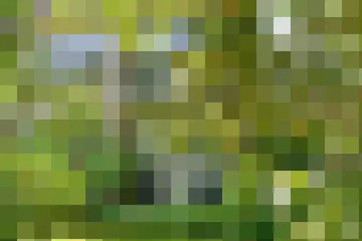 Prins Bernhardweg 24 Oosterbeek thumbnail 7