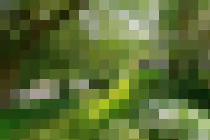 Prins Bernhardweg 24 Oosterbeek thumbnail 8