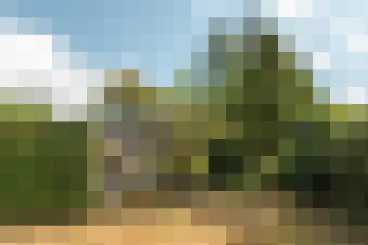 Prins Bernhardweg 24 Oranjewoud thumbnail 11