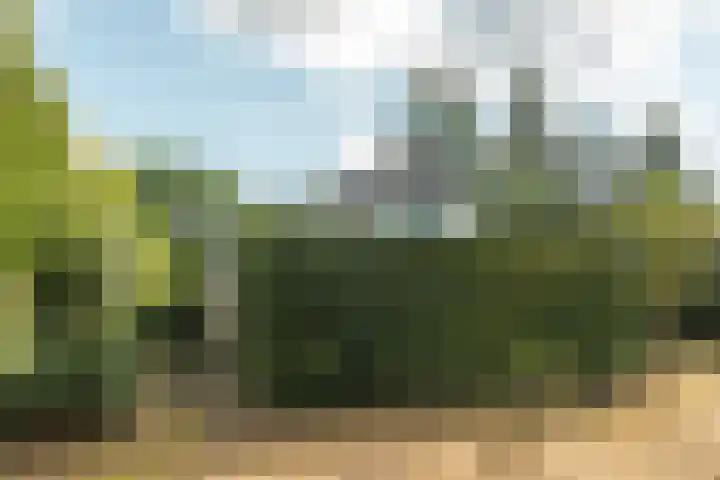 Prins Bernhardweg 24 Oranjewoud thumbnail 12