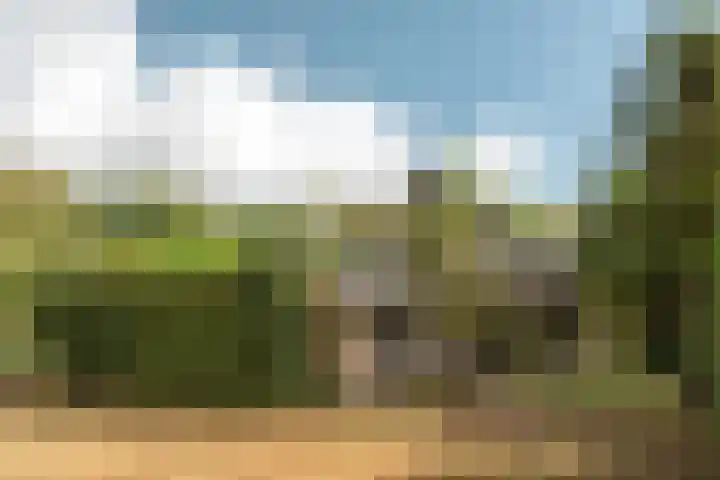 Prins Bernhardweg 24 Oranjewoud thumbnail 14