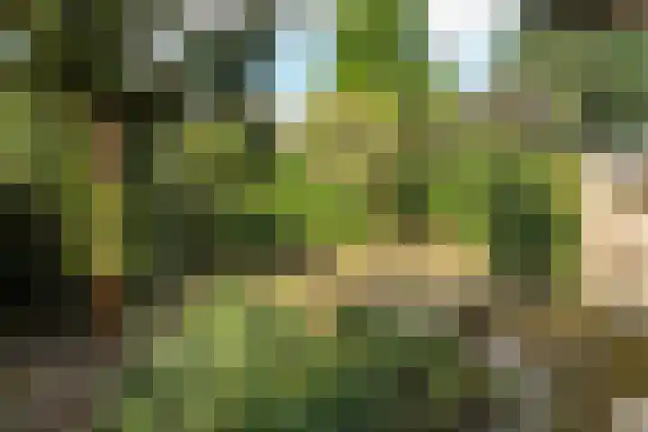 Prins Bernhardweg 24 Oranjewoud thumbnail 17