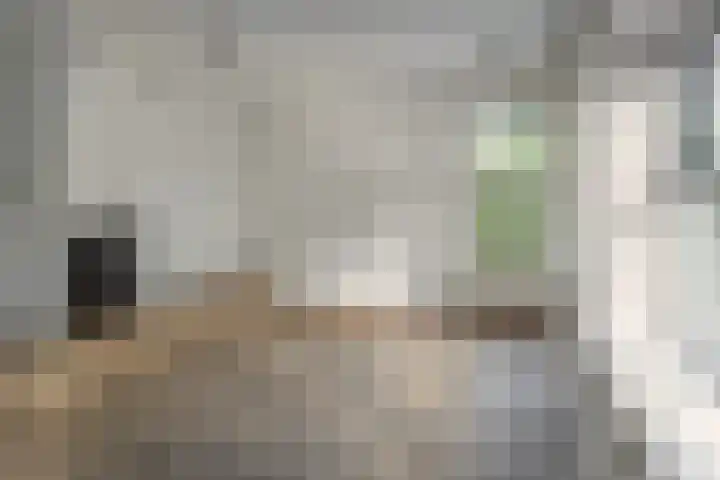 Prins Bernhardweg 24 Oranjewoud thumbnail 25
