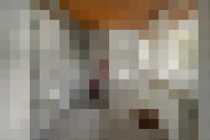 Prins Bernhardweg 24 Oranjewoud thumbnail 33