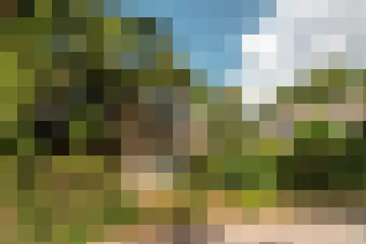 Prins Bernhardweg 24 Oranjewoud thumbnail 4