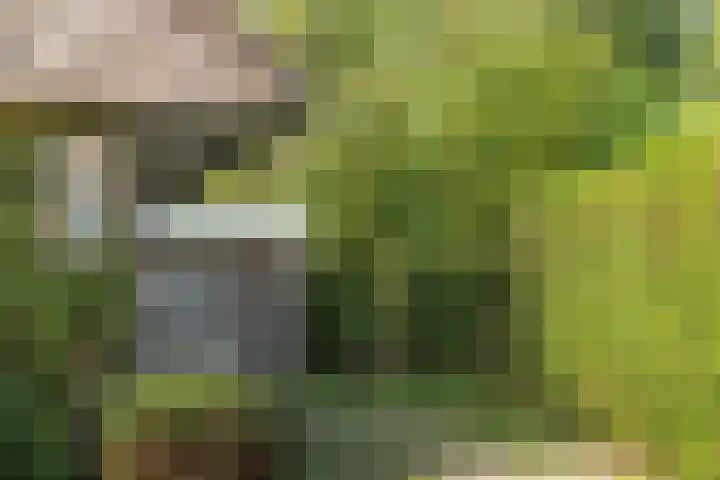 Prins Bernhardweg 24 Oranjewoud thumbnail 5