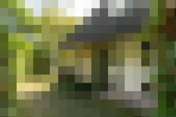 Prins Bernhardweg 24 Oranjewoud thumbnail 6