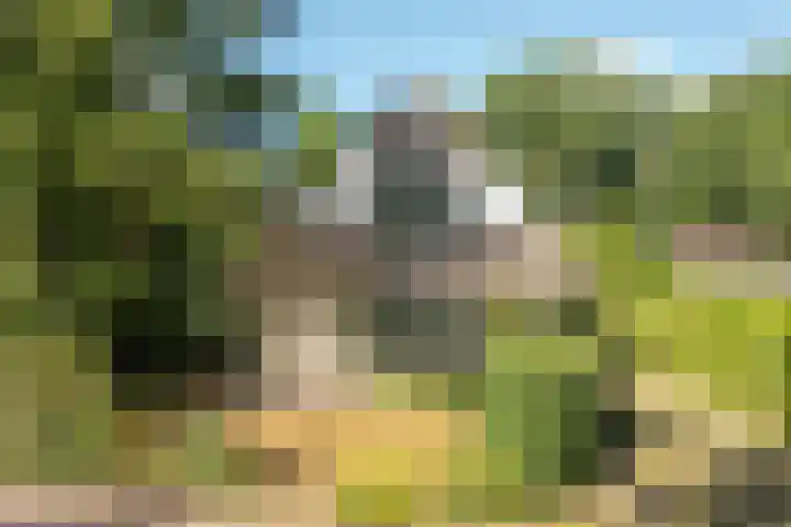 Prins Bernhardweg 24 Oranjewoud thumbnail 7