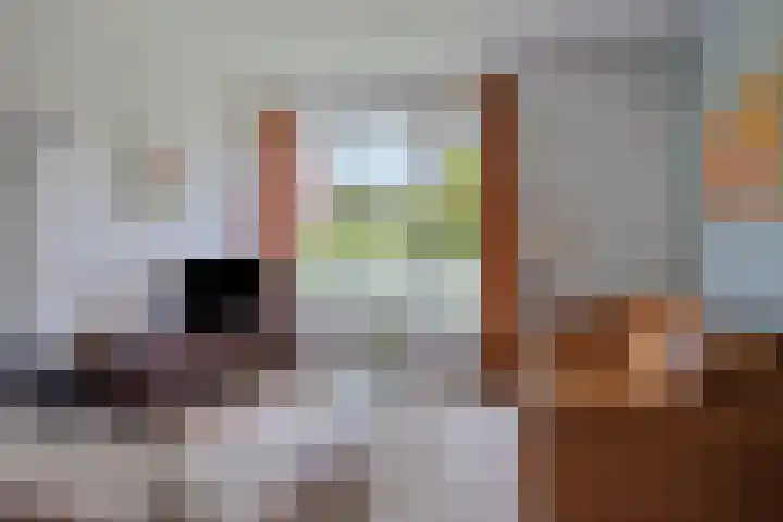 Prins Bernhardweg 28 Vorden thumbnail 10