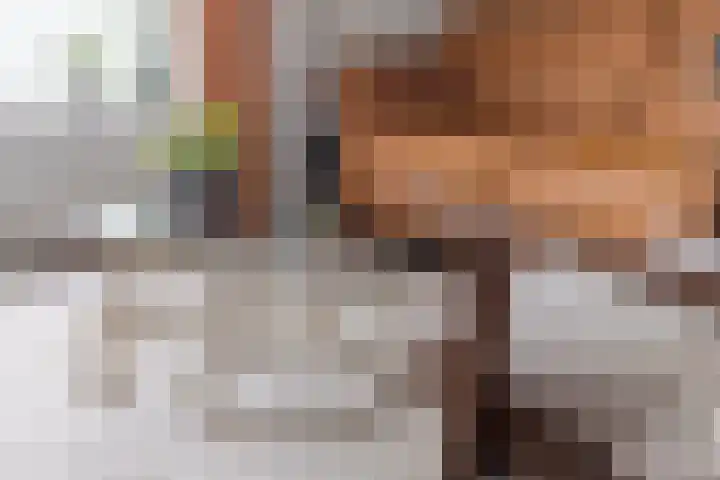 Prins Bernhardweg 28 Vorden thumbnail 11