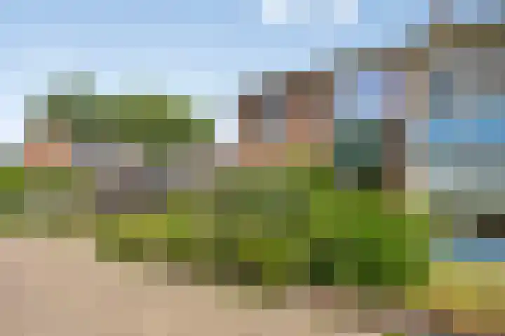 Prins Bernhardweg 28 Vorden thumbnail 16