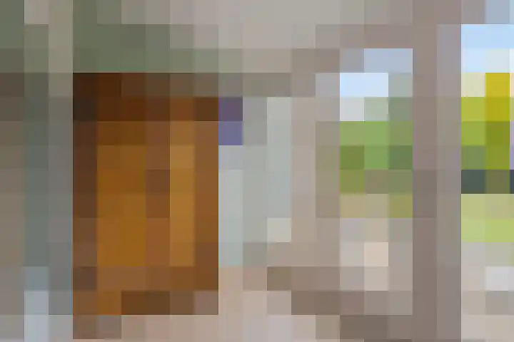 Prins Bernhardweg 28 Vorden thumbnail 19