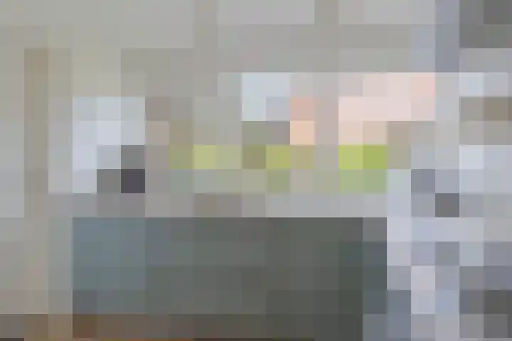 Prins Bernhardweg 28 Vorden thumbnail 20