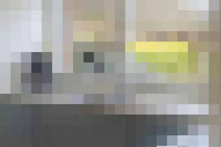 Prins Bernhardweg 28 Vorden thumbnail 24