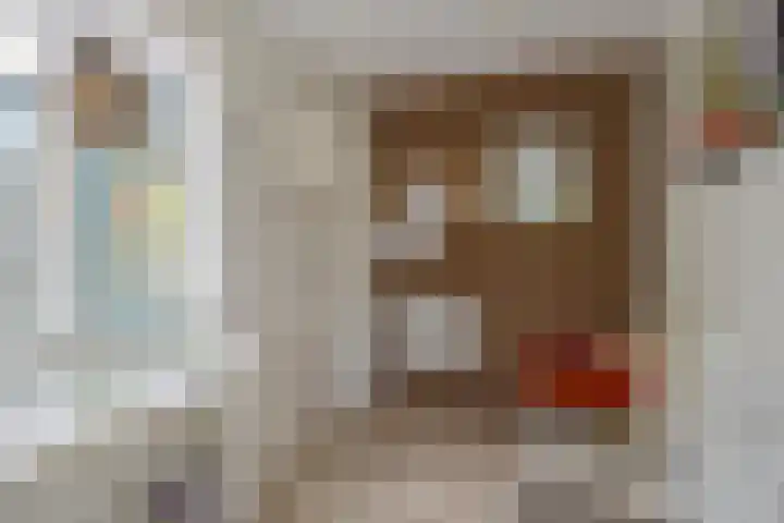 Prins Bernhardweg 28 Vorden thumbnail 32