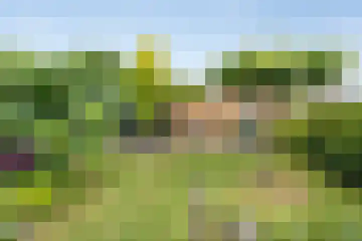 Prins Bernhardweg 28 Vorden thumbnail 37