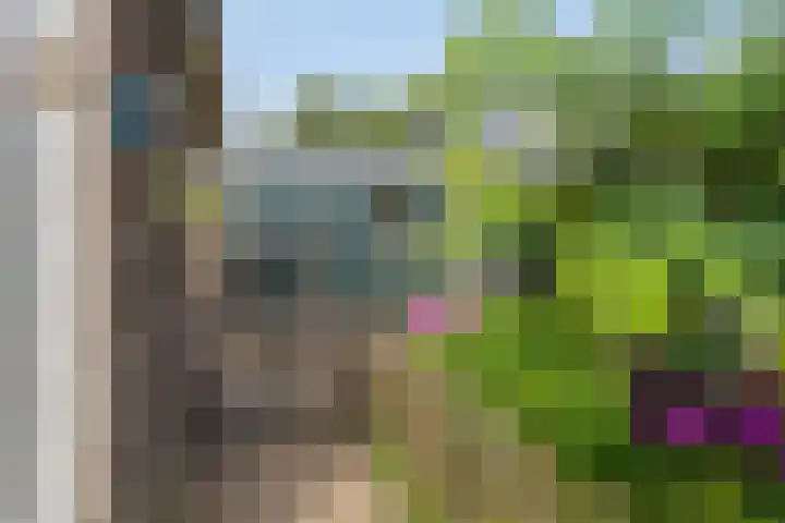 Prins Bernhardweg 28 Vorden thumbnail 38