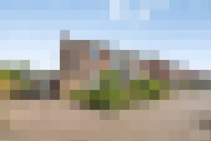 Prins Bernhardweg 28 Vorden thumbnail 39