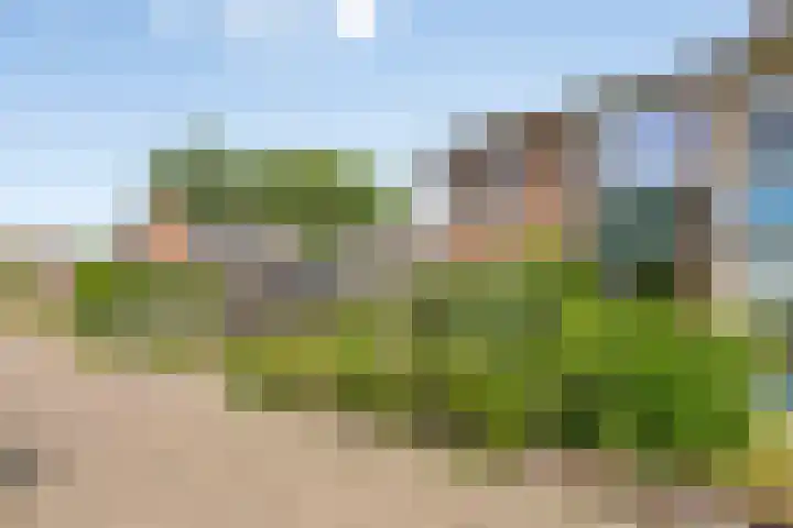Prins Bernhardweg 28 Vorden thumbnail 40
