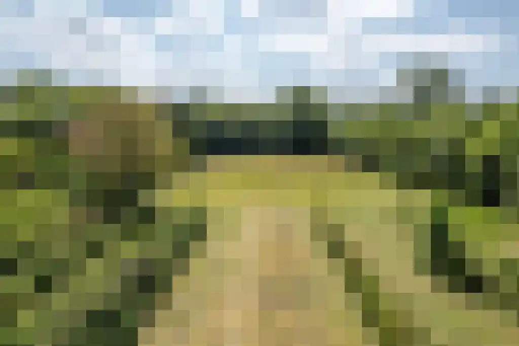 Prins Bernhardweg 29 Oranjewoud thumbnail 10