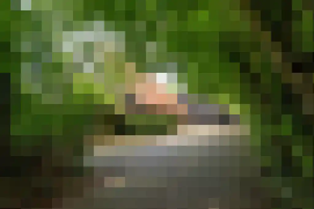 Prins Bernhardweg 29 Oranjewoud thumbnail 11