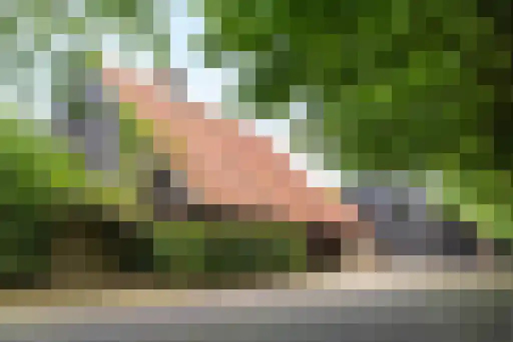 Prins Bernhardweg 29 Oranjewoud thumbnail 15