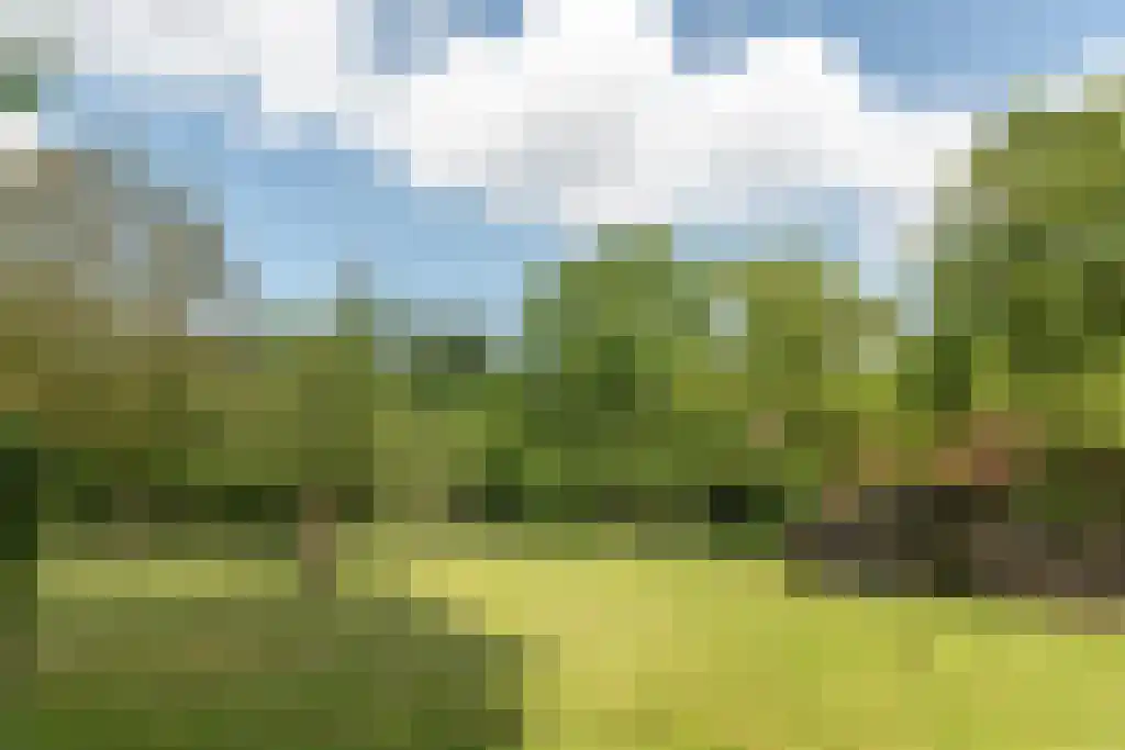 Prins Bernhardweg 29 Oranjewoud thumbnail 19