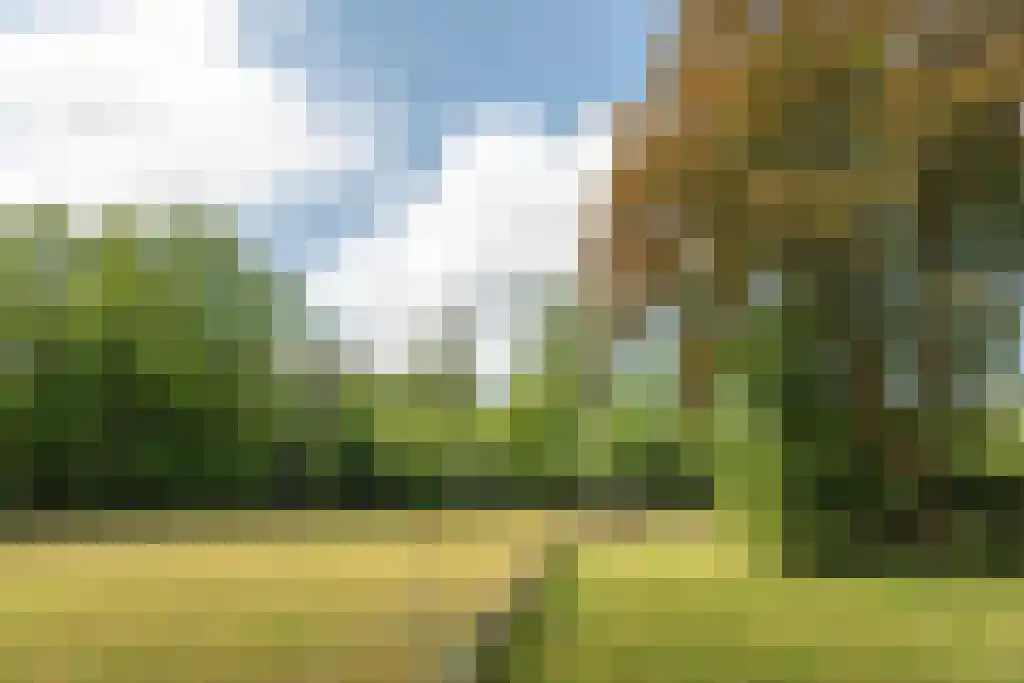 Prins Bernhardweg 29 Oranjewoud thumbnail 24