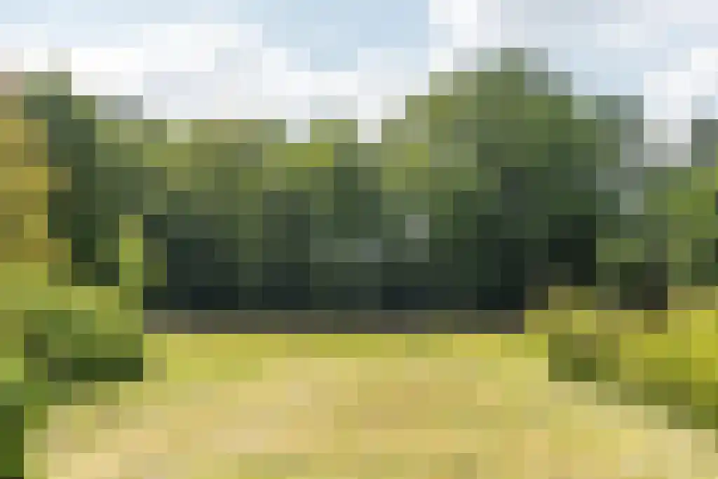 Prins Bernhardweg 29 Oranjewoud thumbnail 25