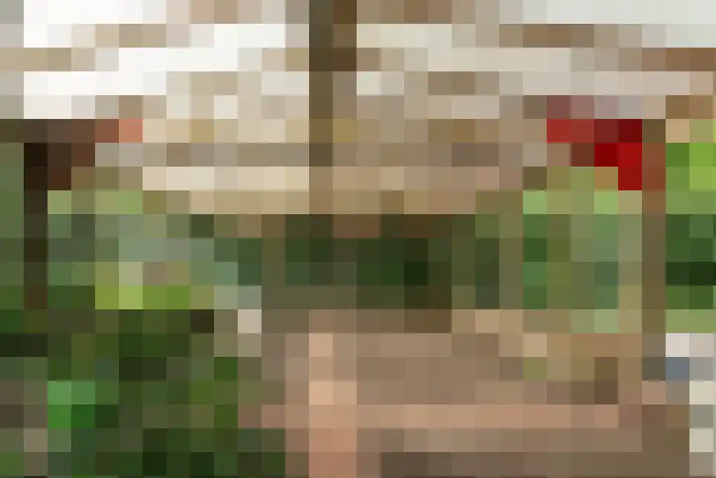 Prins Bernhardweg 29 Oranjewoud thumbnail 32