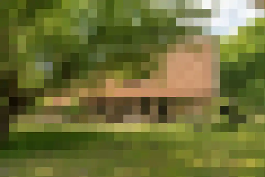 Prins Bernhardweg 29 Oranjewoud thumbnail 4