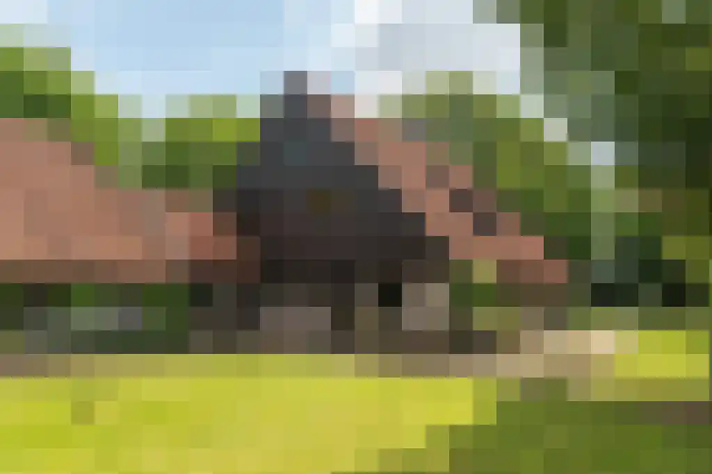 Prins Bernhardweg 29 Oranjewoud thumbnail 5