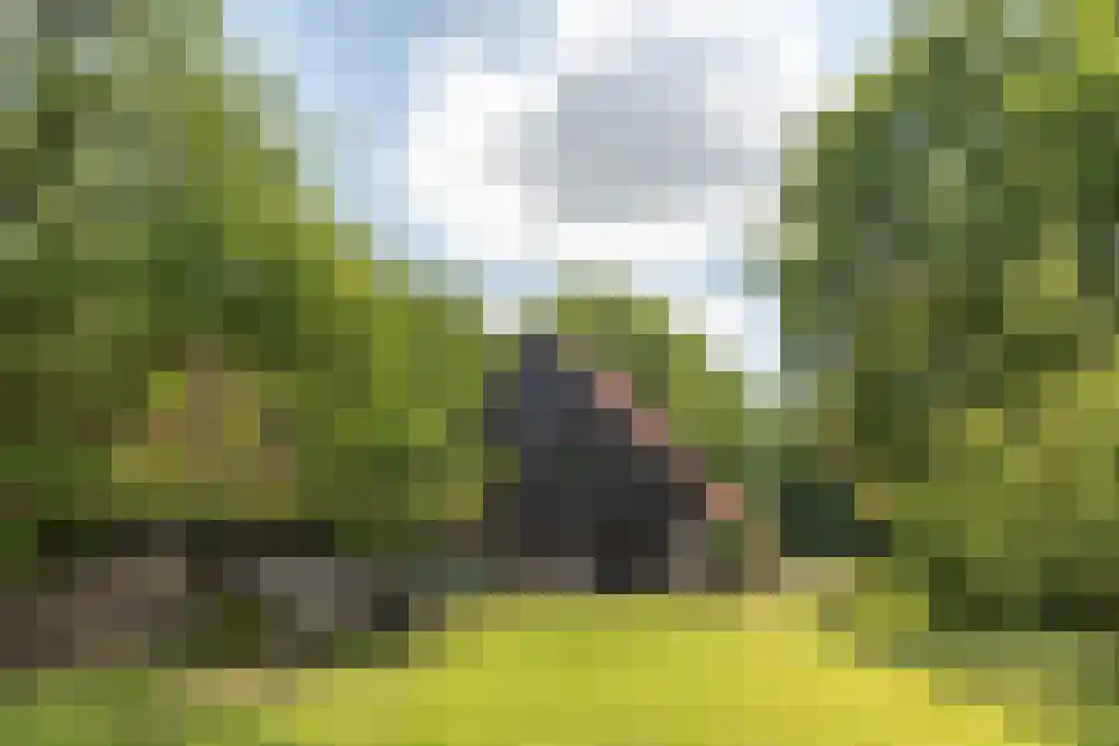 Prins Bernhardweg 29 Oranjewoud thumbnail 6